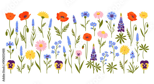 Vibrant wildflowers in full bloom on white background