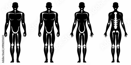 Anatomical silhouettes displaying human figures with varying internal views