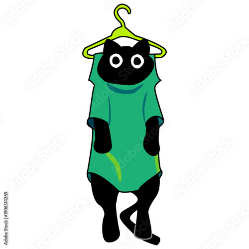 A Black cat on a green clothes hanger