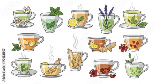 Collection of Herbal Teas in Glass Cups with Ingredients.