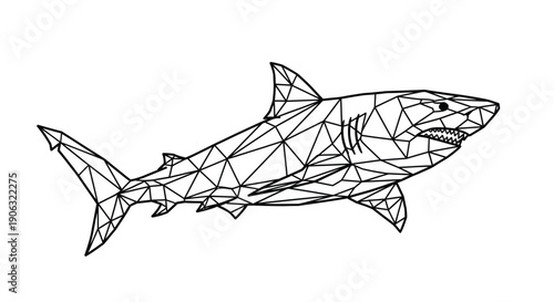 A stylized illustration of a shark is formed by geometric lines and triangles.