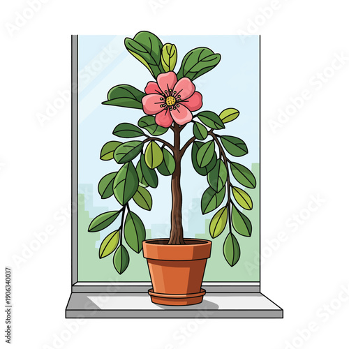 A potted plant on a windowsill