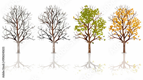 Trees illustrating the four seasons with changing foliage and bare branches