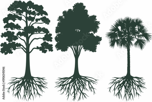 Silhouettes of three distinct trees with visible root systems
