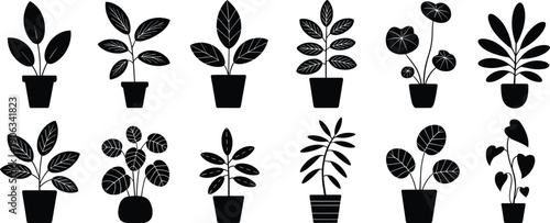 Potted plant silhouettes illustration set, indoor houseplants collection isolated black botanical decor vector home gardening nature design icons