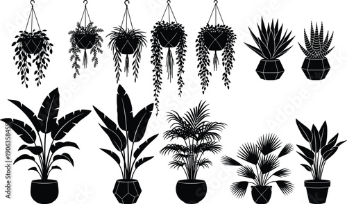 Silhouette potted plants, hanging foliage, tropical leaves, succulents, palm shapes, indoor decoration, botanical illustration, ornamental greenery, vector art - flavector