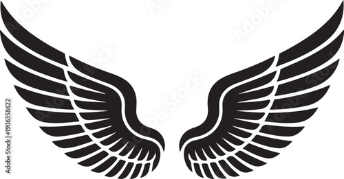 wings vector illustration