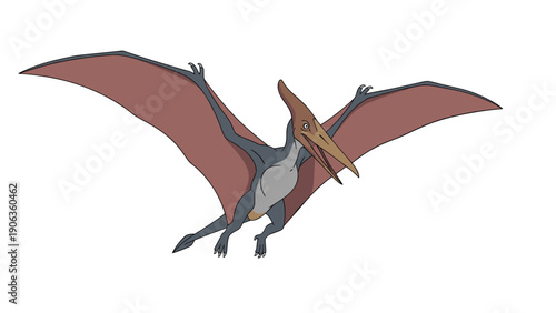 Pterosaur dinosaur with large wingspan flying through the air depicted in a realistic prehistoric illustration.
