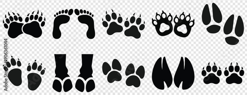 Collection of various animal footprints and paw prints in black silhouette eps vector