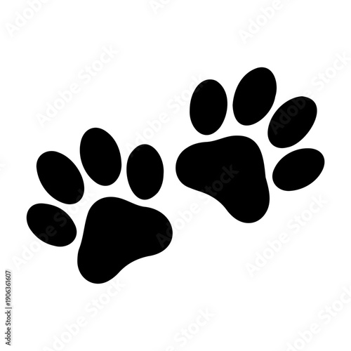 Two distinct black paw prints are clearly visible against a clean, white background.