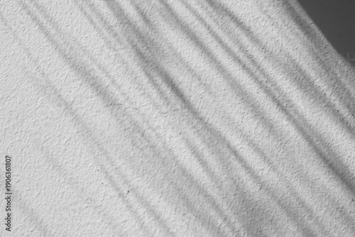 Wallpaper Mural Abstract natural tree branch leaves shadow on white wall background Torontodigital.ca