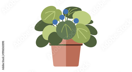 Potted Plant with Blue Berries - Flat Design Illustration