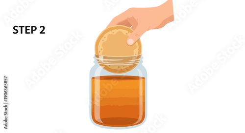 Step 2: Placing the Kombucha SCOBY into the sweet tea in a jar during the home fermentation brewing process, instructional diagram illustration.