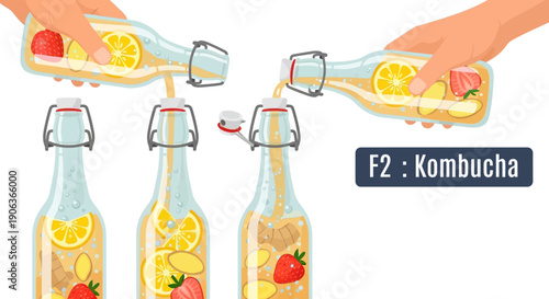 Bottling Homemade Kombucha for Second Fermentation (F2): Hands Pouring Flavored Probiotic Drink with Ginger, Lemon, and Strawberry into Swing Top Glass Bottles. Vector Illustration.