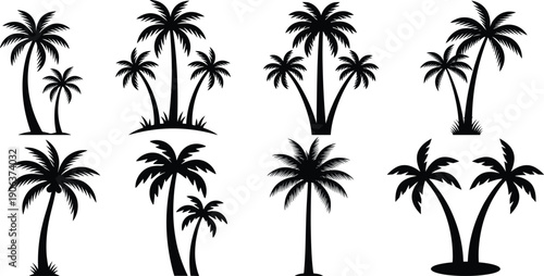 Tropical coconut palm tree illustration, a symbol of summer vacation and exotic destinations.