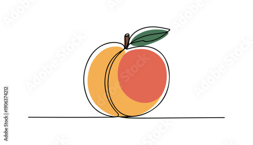 One continuous line illustration of an Peach fruits, isolated on white background.