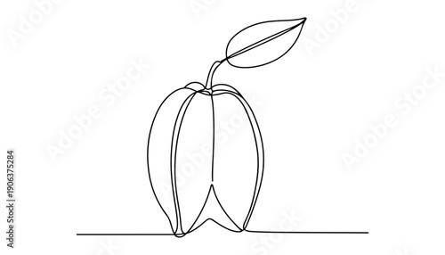 One continuous line illustration of an Carambola fruits, isolated on white background.