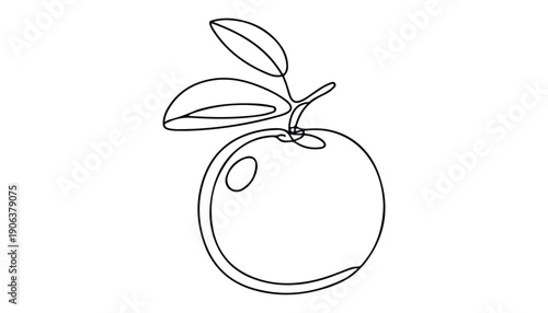 One continuous line illustration of an Clementine fruits, isolated on white background.