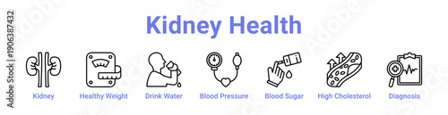 Kidney Health Icon Banner and Collection