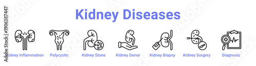 Kidney Diseases Icon Banner and Collection