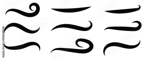 Typography shape Swoosh and swash tails in retro style used for graphic design element and athletics logos. Vector illustration.