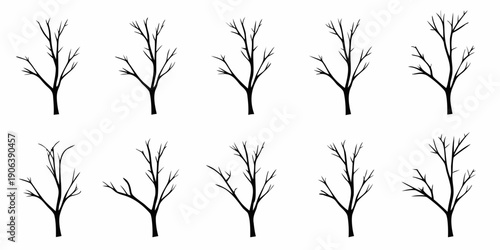 Arrangement of delicate bare branches against a plain white background