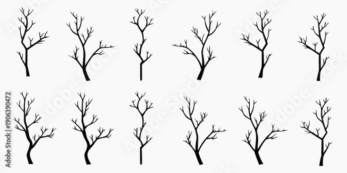 Collection of delicate bare branches arranged in a repeating pattern
