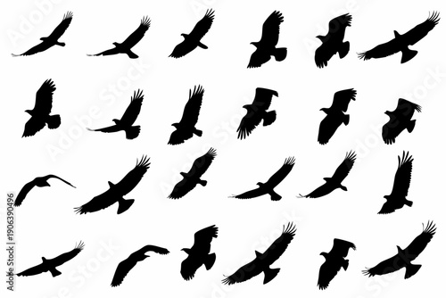 A collection of silhouetted birds in various flight poses
