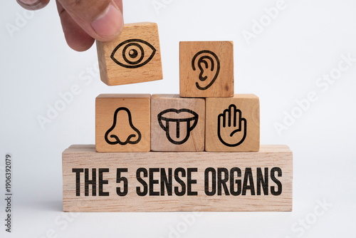 Wooden with five Sense organs icons namely sight, hearing, smell, teste and touch. basic 5 human senses