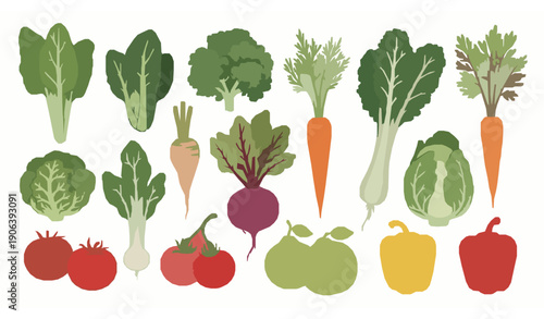 Watercolor style hand drawn vegetables vector collection