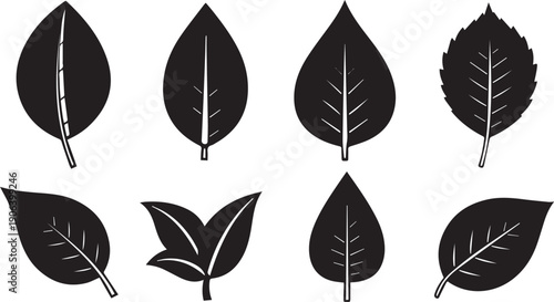 Collection of various leaf silhouettes on white background