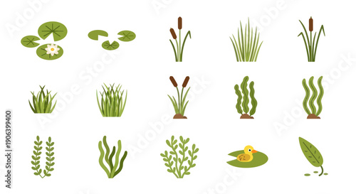 Assorted Green Aquatic Plants and Lily Pads Illustrations.