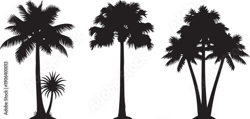 Silhouette of palm trees against a white background