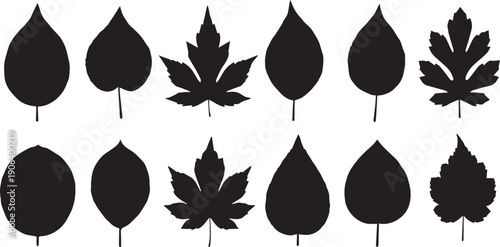 Collection of diverse leaf silhouettes