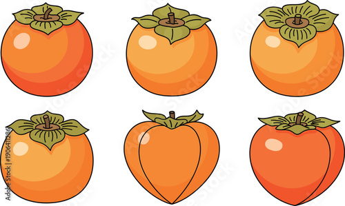 Persimmon Fruit Collection Set with Different Shapes and Variations Isolated on White Background Flat Vector Illustration