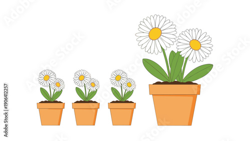 Growth concept illustration showing three small terracotta pots with twin daisies and one significantly larger pot with mature flowers.