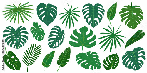 Collection of vibrant green tropical monstera and palm leaves on white