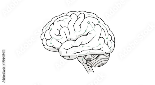 Detailed illustration of a human brain from a lateral viewpoint showcasing cerebral anatomy and structure