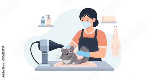 Groomer drying a chinchilla with a hairdryer wearing mask and gloves.