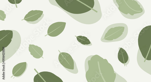 Collection of Various Green Leaves Illustration.