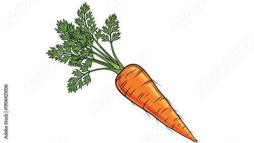 Whole fresh orange carrot with its lush green leafy tops attached is shown diagonally on a plain white background for design.