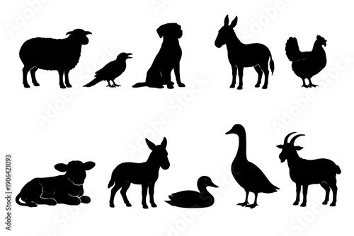 Black silhouettes of farm animals and birds: sheep, goat, donkey, dog, calf, chicken, crow, duck and goose. Clean vector set for agriculture, rural life, livestock and countryside design.