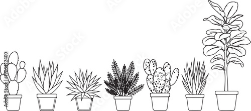 Black and white line of potted plants cacti succulents line black and white