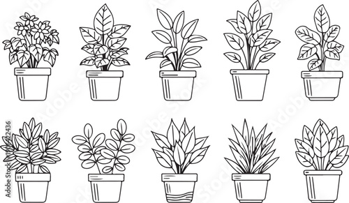 Black and white line of potted plants line black and white flowers leaves pots