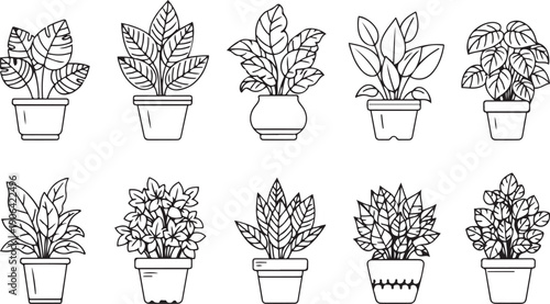 Black and white line of potted plants line black and white plant pots planters leafy plants