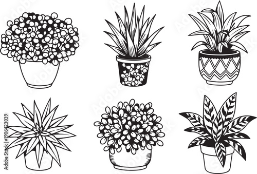 Black and white of six potted plants with various leaf patterns plant pots flowers