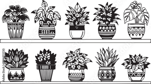 Black and white of ten potted plants on two shelves indoor plants