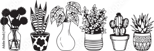 Black and white of various potted plants and a vase with flowers cactus