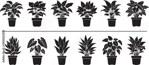 Black and white potted plants on white background plant silhouettes indoor plants houseplants
