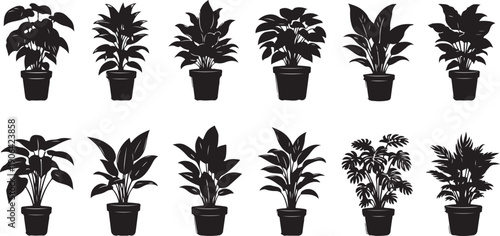Black silhouettes of potted plants on white background 1